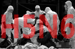 Ԥh5n6У зռӴ