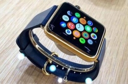 Apple Watchֱ ۼ2288Ԫ