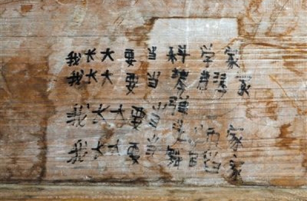 湖南11岁艾滋病女孩遭受歧视：只能自己和自己玩
