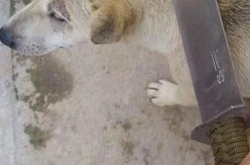 ɱʬдв ӱйɱ