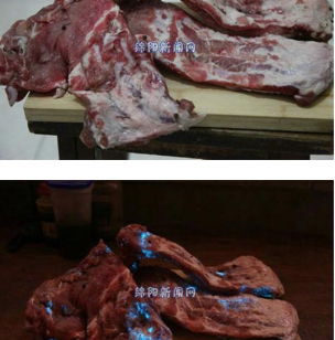 夜明猪?肉铺买排骨回家竟发蓝光 女子整个人都不好了