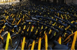 ޳ʦ600СƳ 󲿷ofo˶ƻ