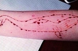 ˹ϷǱй ҳЩȺһ!