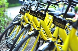 Сѧֿofo СƳкĶ