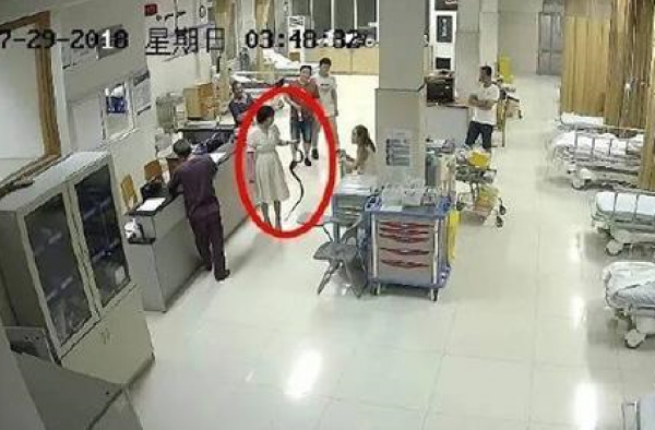 抓活蛇看急诊,彪悍的妹子.网友:你考虑过蛇的感受嘛?