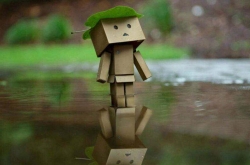 ߷񣿸˧񣿷񣡻