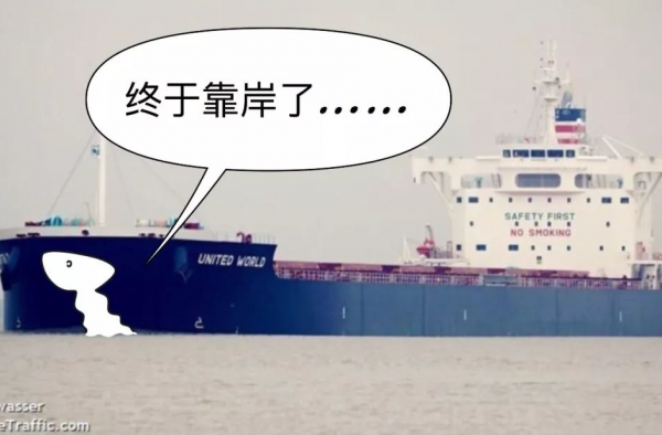 美国大豆船卸货了 在海上漂了这么久,怕是都成豆芽了.