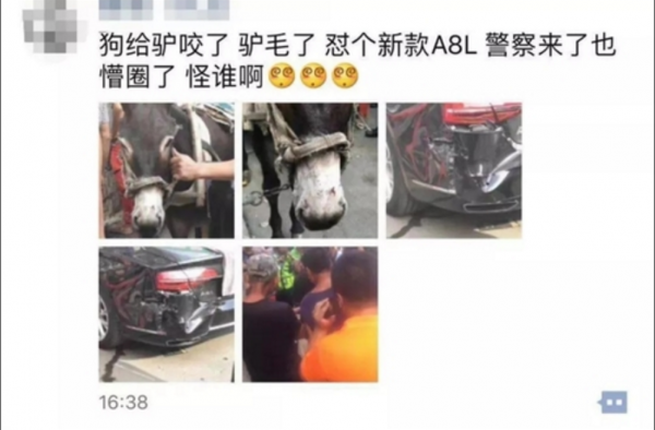 驴被咬受惊踢奥迪 细节曝光令人哭笑不得 警察也蒙圈！