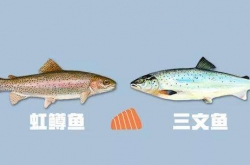 ȱ ѱʾҵ׼