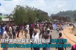 喀麦隆多人遭绑架怎么回事？恐怖份子绑架了师生82人