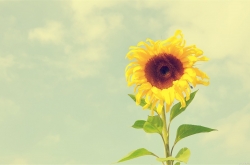 ʲôտʽֹӭÿһĹ