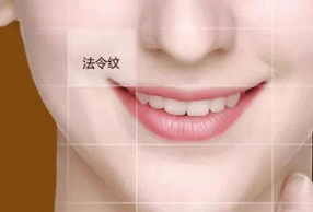 ôרҵȥ廤֪ʶ