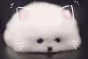 ǿ Ե