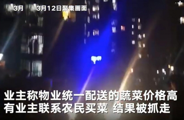 孝感小区近百人聚集煽动者被捕 网友力挺 问题属实吗