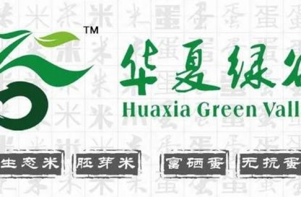 “疼死我了”…49岁孟非突入院！网友却因另一件事吵起来了