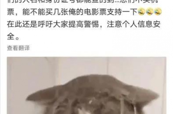 @当红艺人，有了这部法律，“私生饭”或许再不能这么追你了