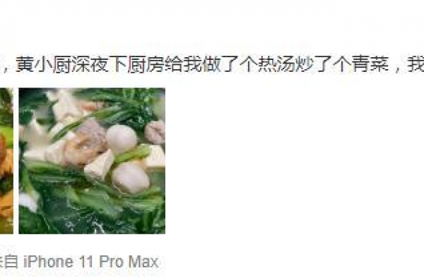 孙莉深夜炫耀黄磊为她做饭，高调撒狗粮，结婚几十年不下厨房