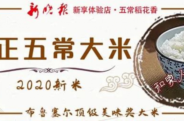 王思聪，还钱