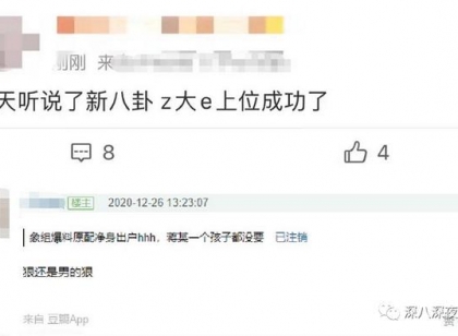 顶级网红张大奕的上位史——一个总裁夫人都撕不动的女人