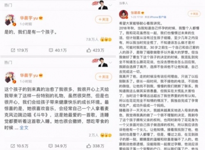 收入骤减2487万元，张碧晨“为爱生女”这一年都付出了什么？