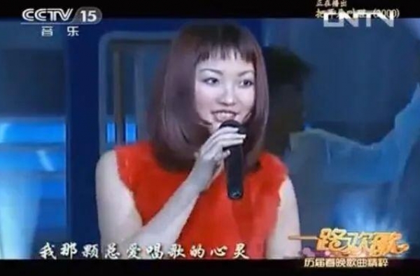 介绍一下冷门歌手，金海心